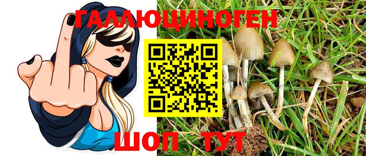 Псилоцибиновые грибы Magic Shrooms  купить наркоту  Гатчина  Вход с VPN 